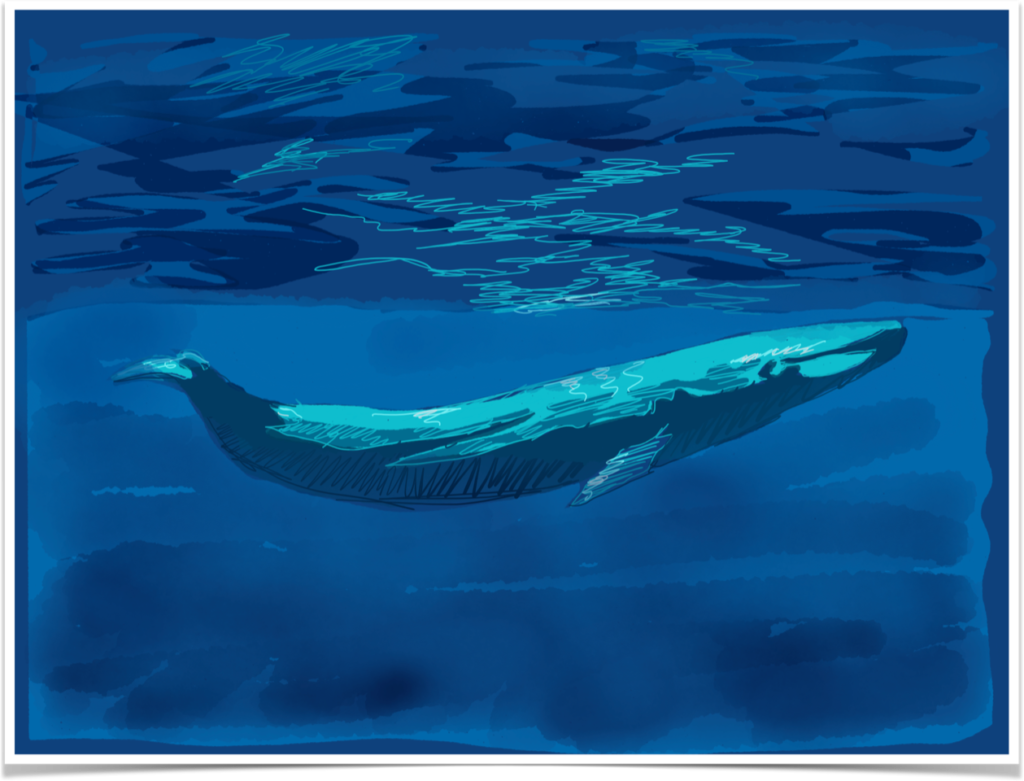 Painting of a blue whale underwater